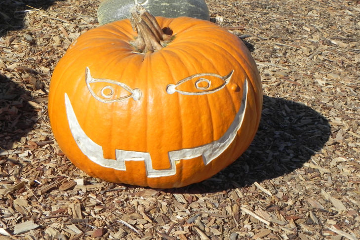 Pumpkin Carving Idea Smile